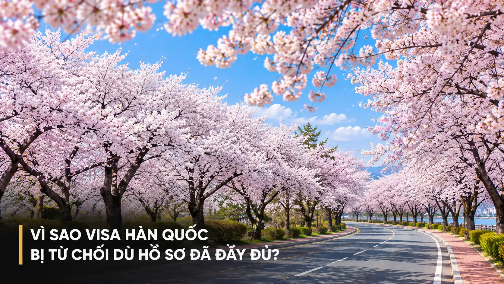 Vì sao visa Hàn Quốc bị từ chối dù hồ sơ đã đầy đủ?