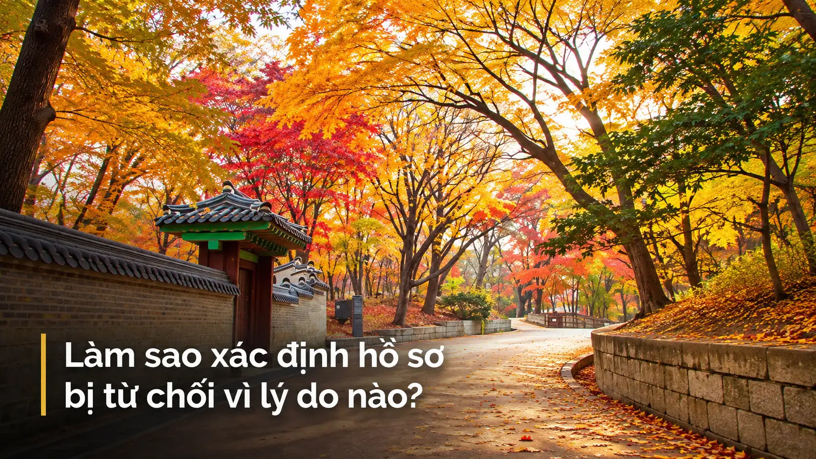 Làm sao xác định hồ sơ bị từ chối vì lý do nào?