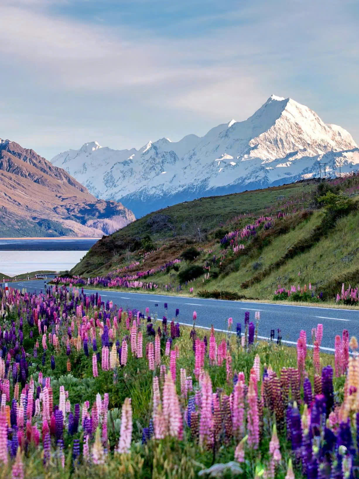 VISA NEW ZEALAND