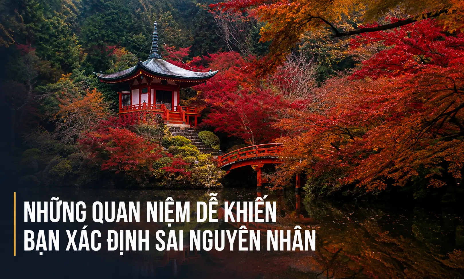 Những quan niệm dễ khiến bạn xác định sai nguyên nhân