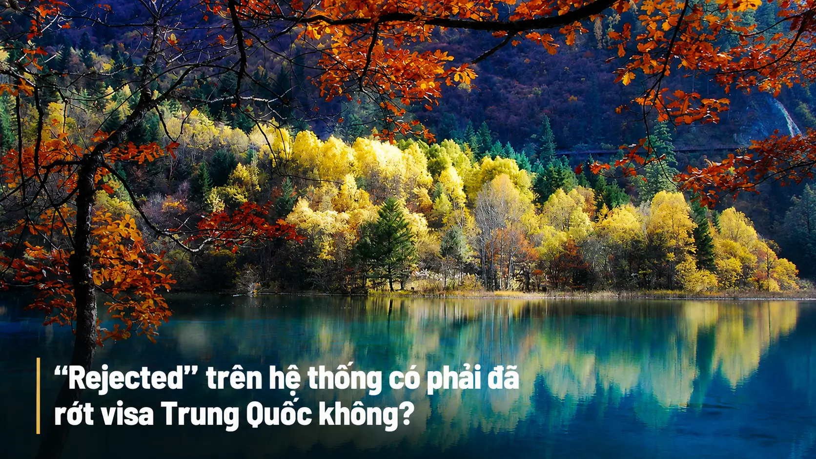 “Rejected” trên hệ thống có phải đã rớt visa Trung Quốc không?