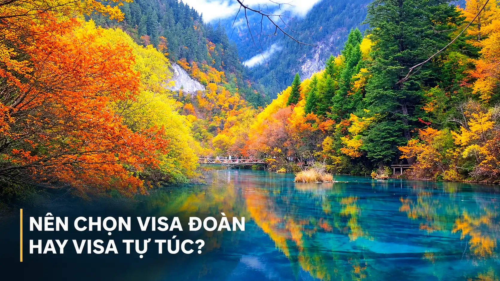 NÊN CHỌN VISA ĐOÀN
HAY VISA TỰ TÚC?