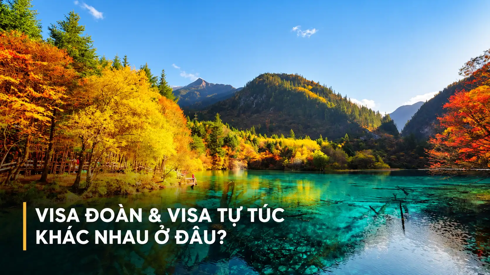 VISA ĐOÀN & VISA TỰ TÚC
KHÁC NHAU Ở ĐÂU?