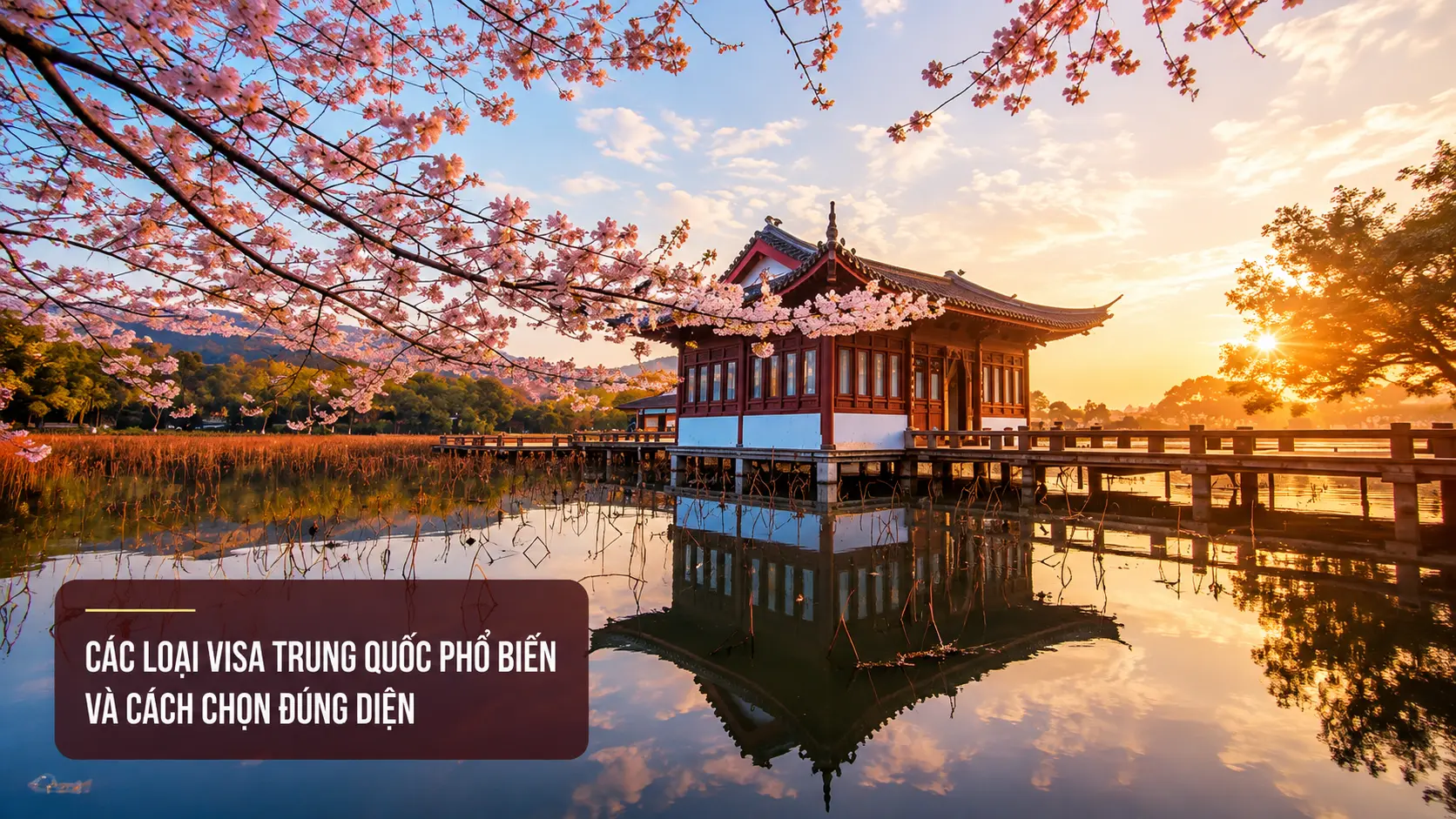 Các loại visa Trung Quốc phổ biến và cách chọn đúng diện
