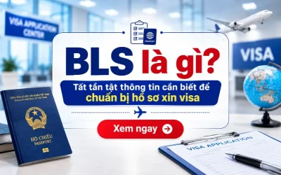 BLS là gì