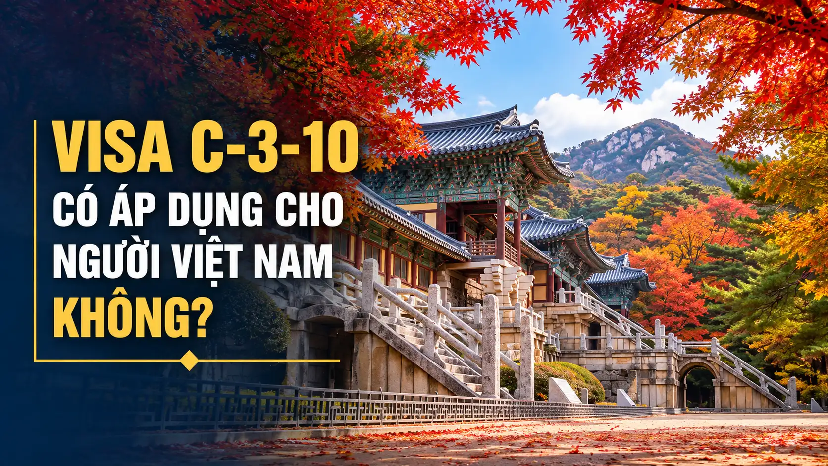 Visa C-3-10 có áp dụng cho người Việt Nam không?