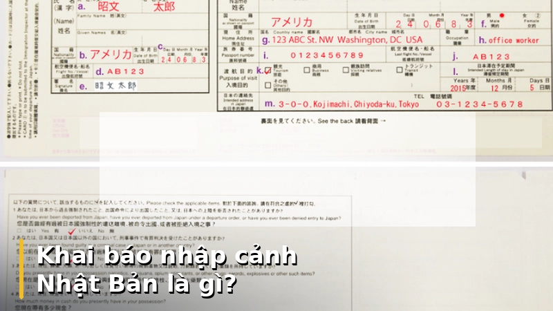 Khai báo nhập cảnh Nhật Bản là gì?