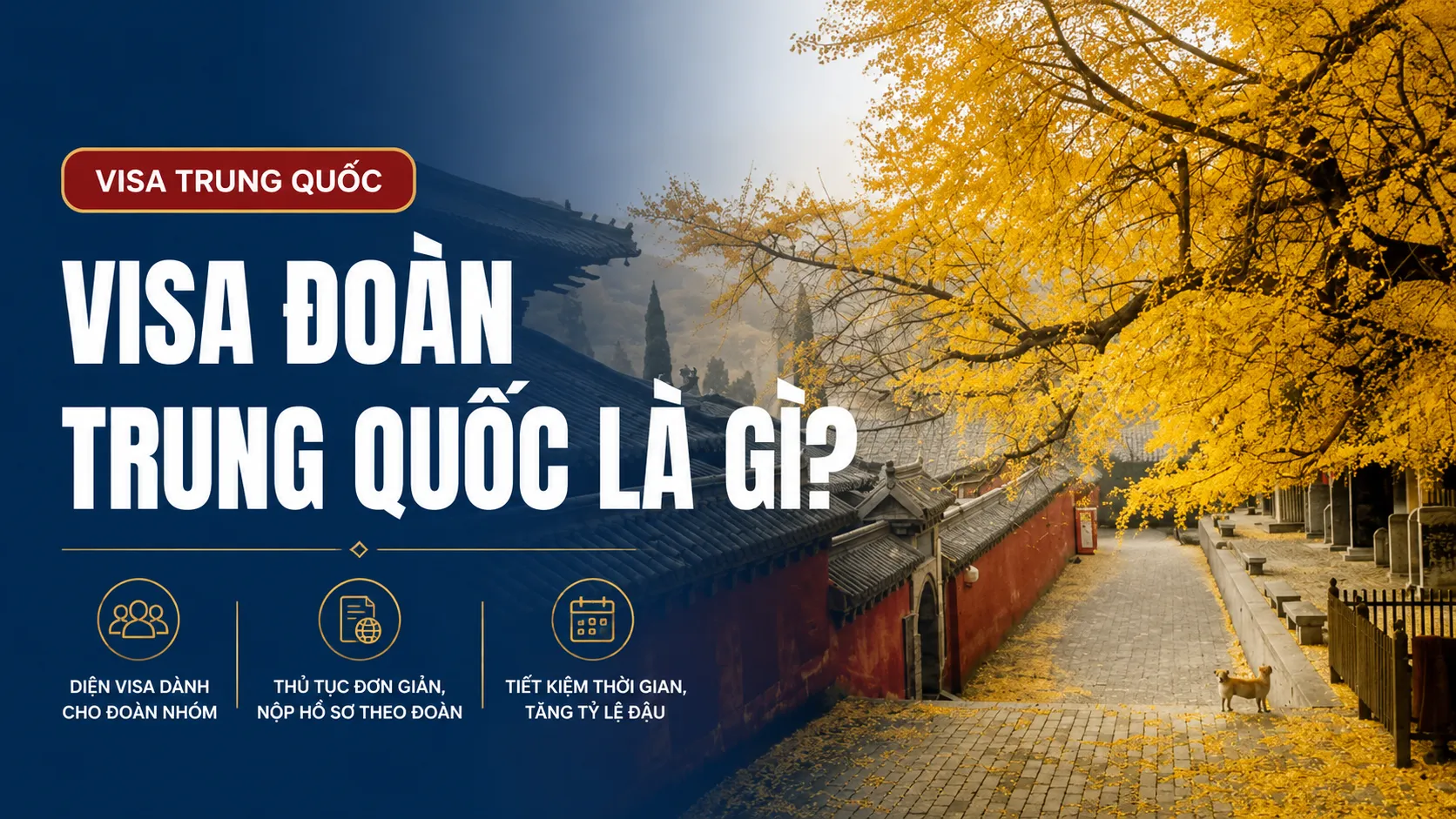 Visa đoàn Trung Quốc là gì?