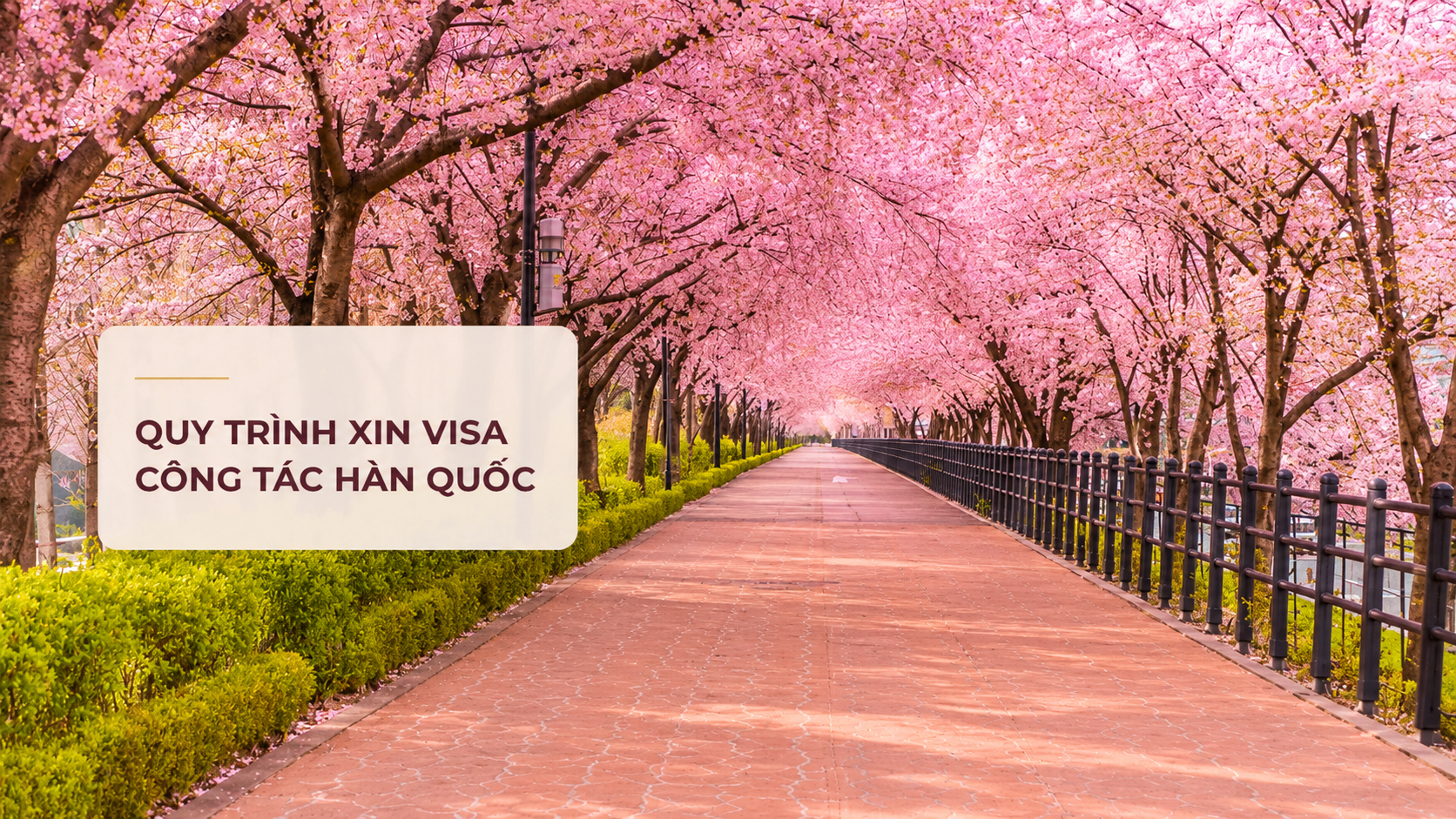 Quy trình xin visa công tác Hàn Quốc