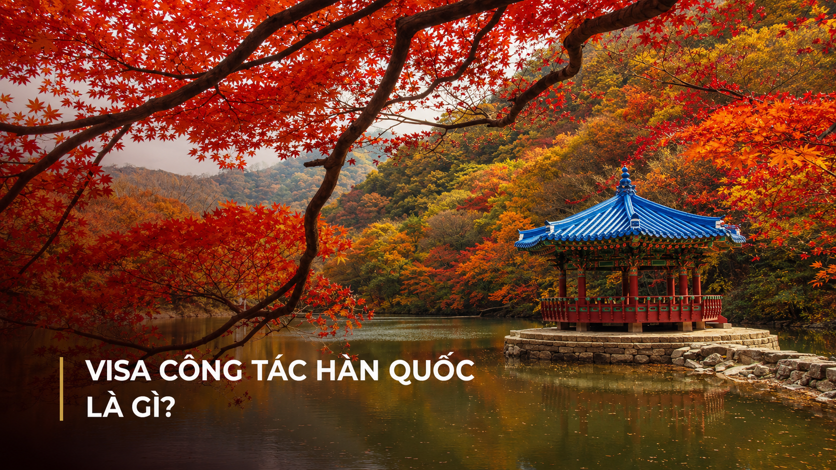 Visa công tác Hàn Quốc là gì?