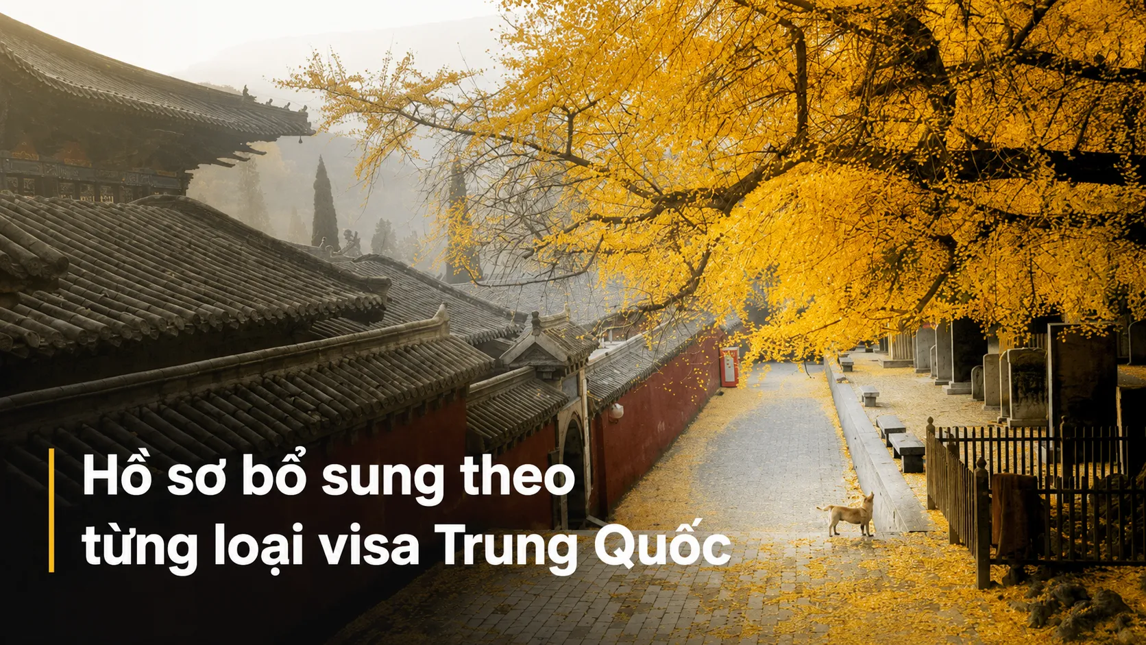 Hồ sơ bổ sung theo từng loại visa Trung Quốc