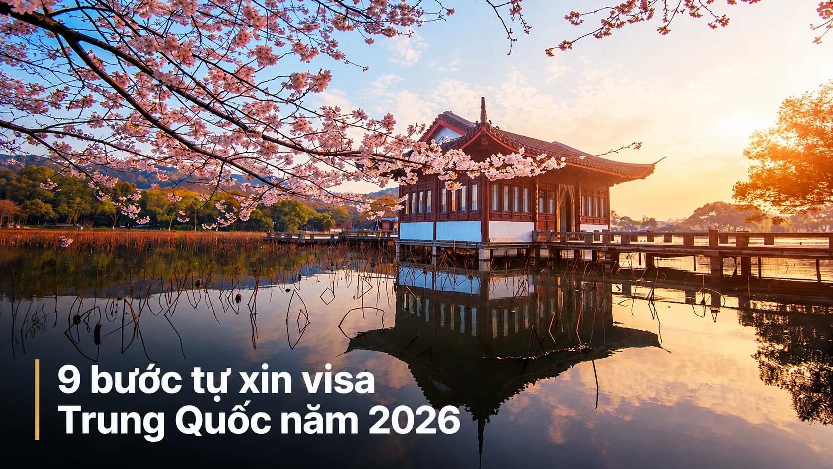 9 bước tự xin visa Trung Quốc năm 2026