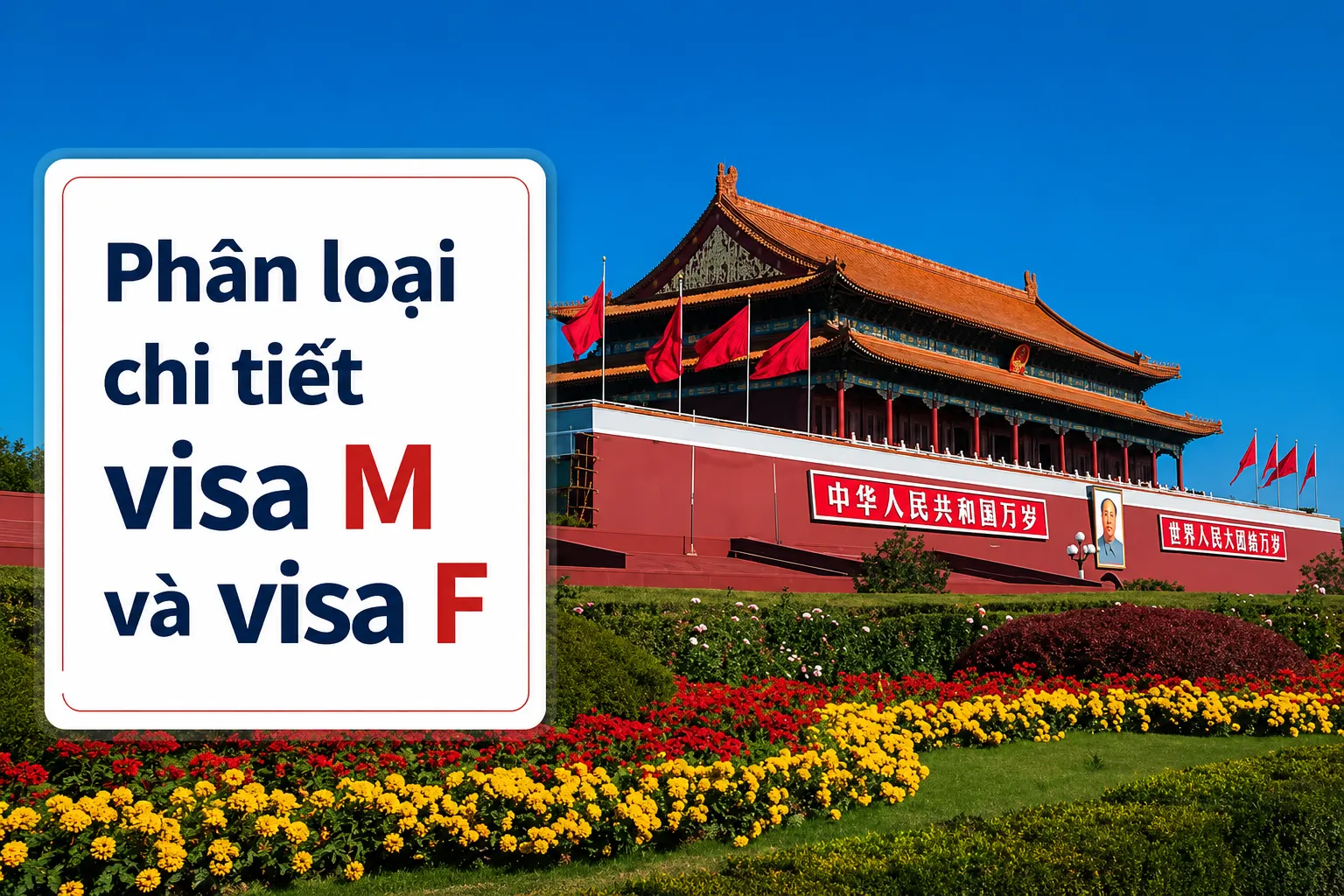 Phân loại chi tiết visa M và visa F