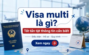 visa multi là gì