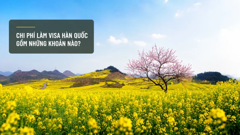 Chi phí làm visa Hàn Quốc gồm những khoản nào?