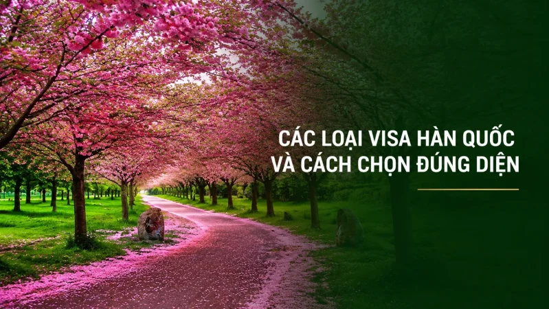 Các loại visa Hàn Quốc và cách chọn đúng diện