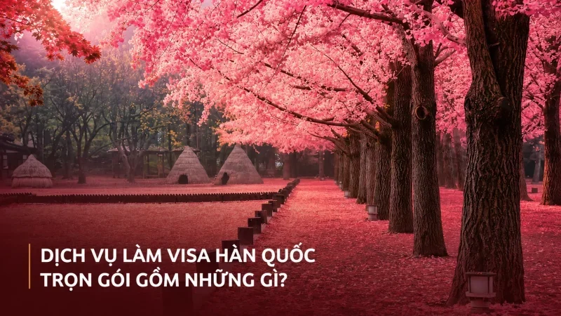 Dịch vụ làm visa Hàn Quốc trọn gói gồm những gì?