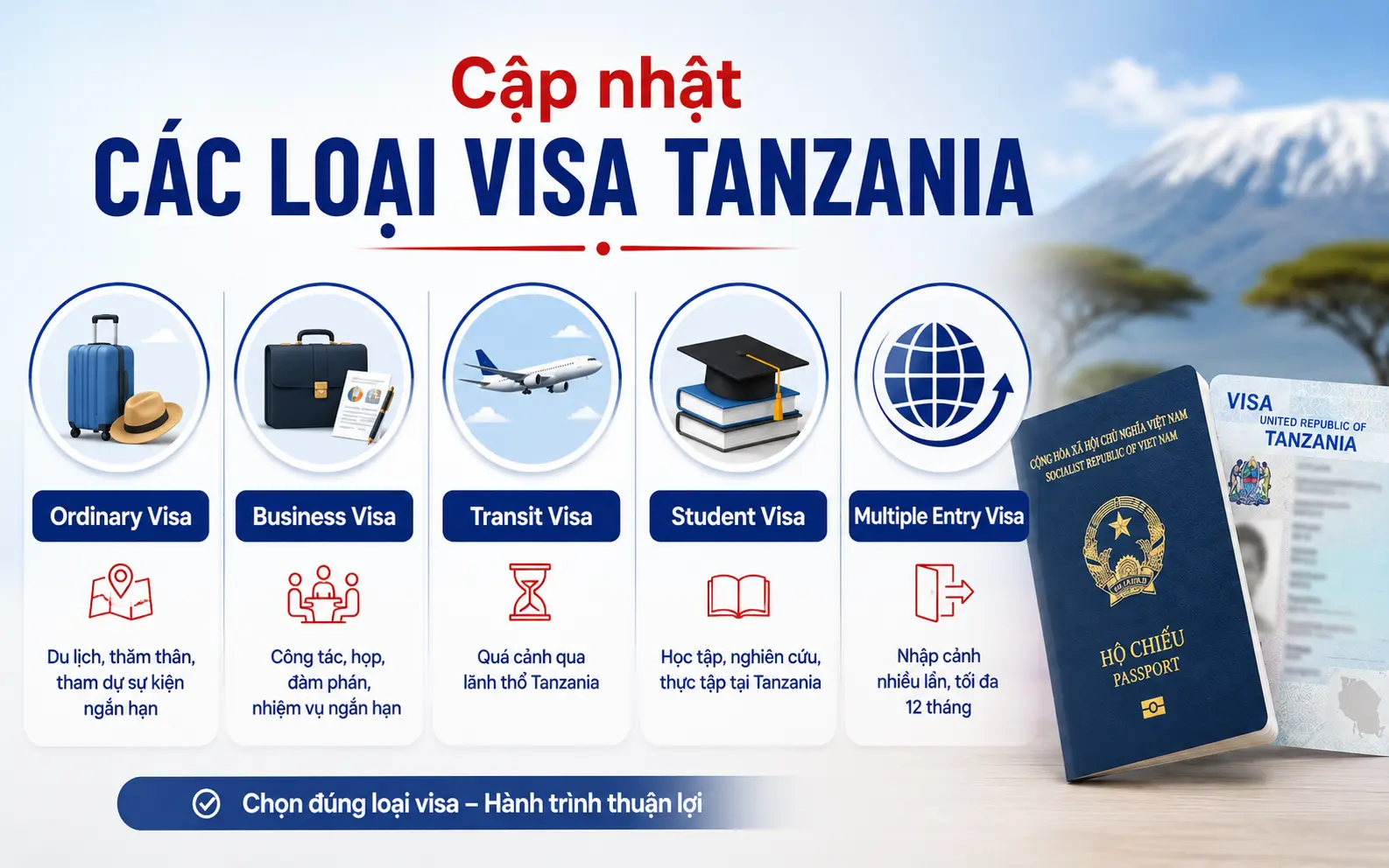 Các loại visa Tanzania phổ biến hiện nay