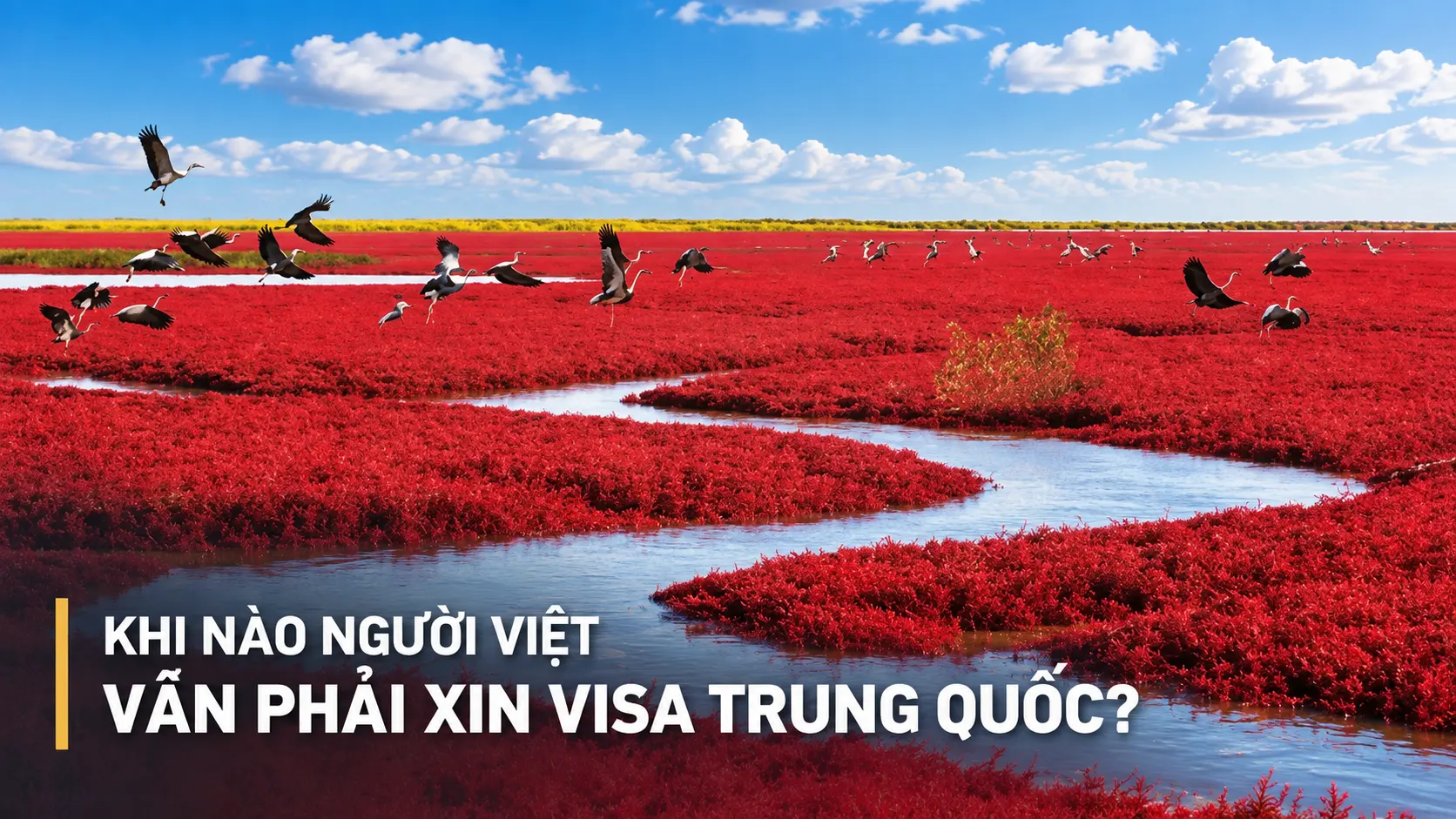 Khi nào người Việt vẫn phải xin visa Trung Quốc?