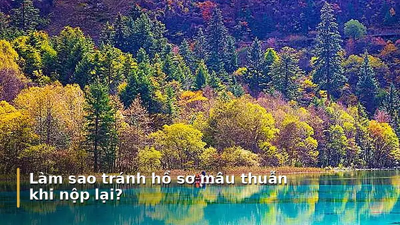 Làm sao tránh hồ sơ mâu thuẫn khi nộp lại?