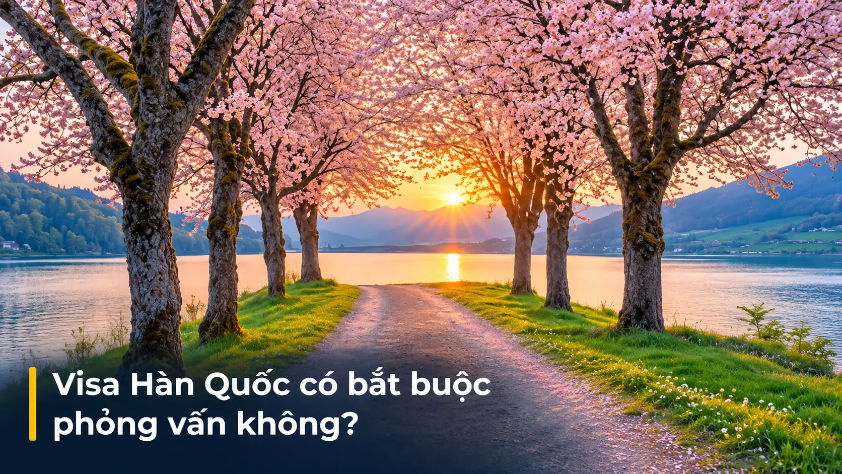 Visa Hàn Quốc có bắt buộc phỏng vấn không?