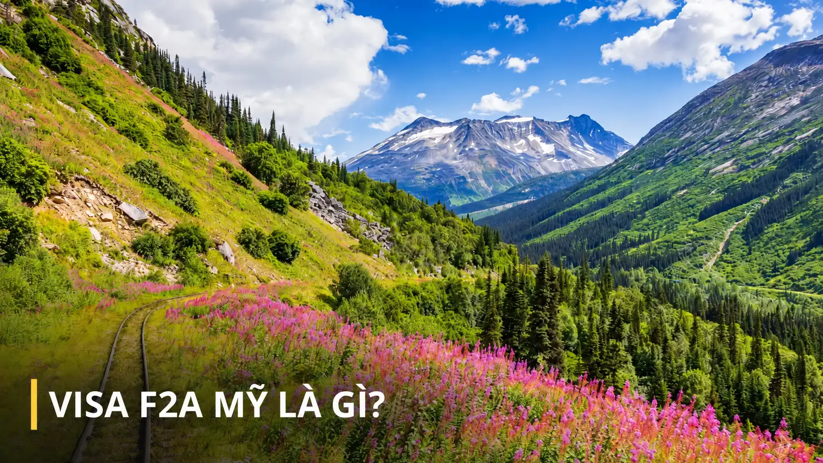 Visa F2A Mỹ là gì?