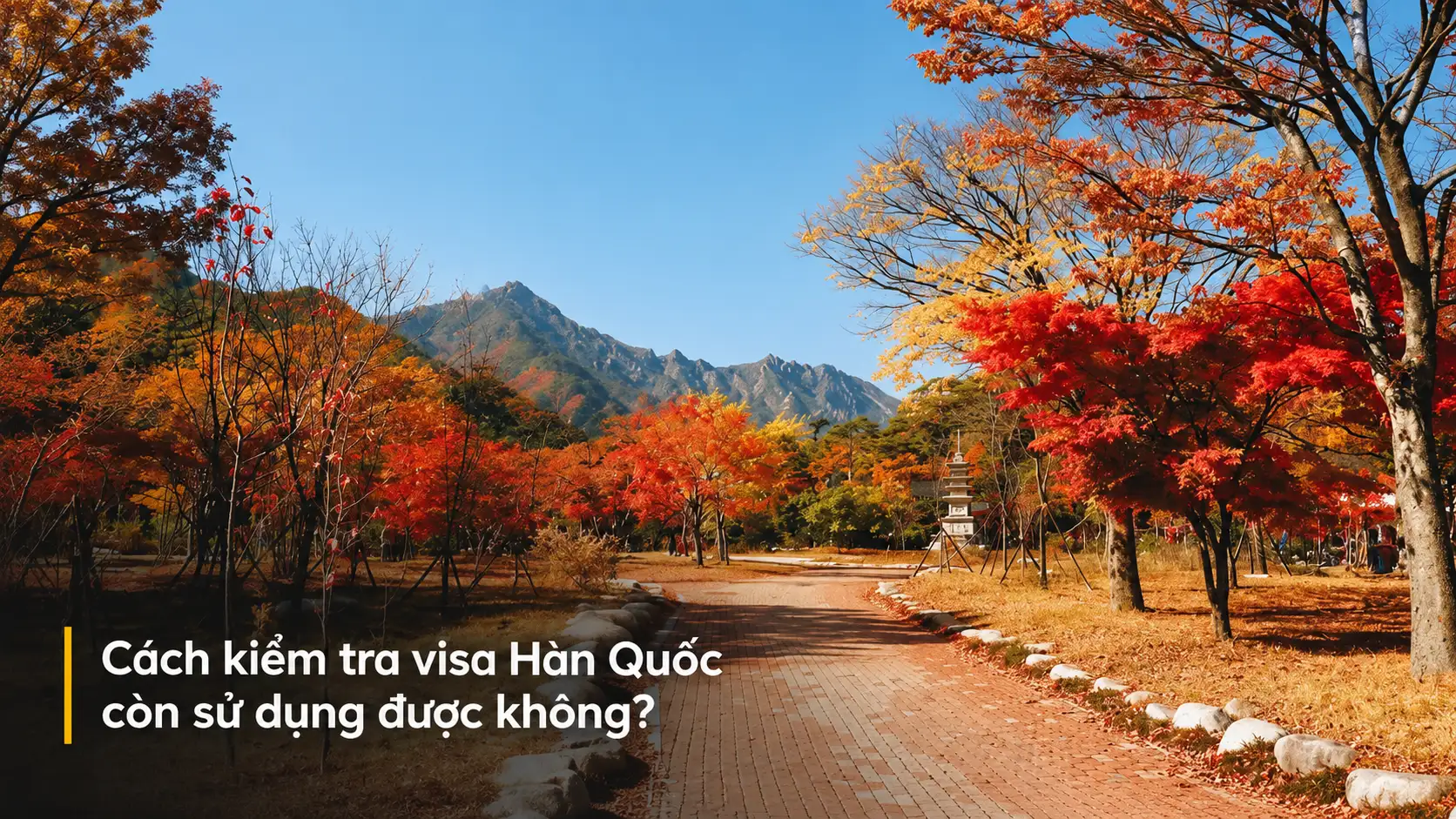 Cách kiểm tra visa Hàn Quốc còn sử dụng được không?