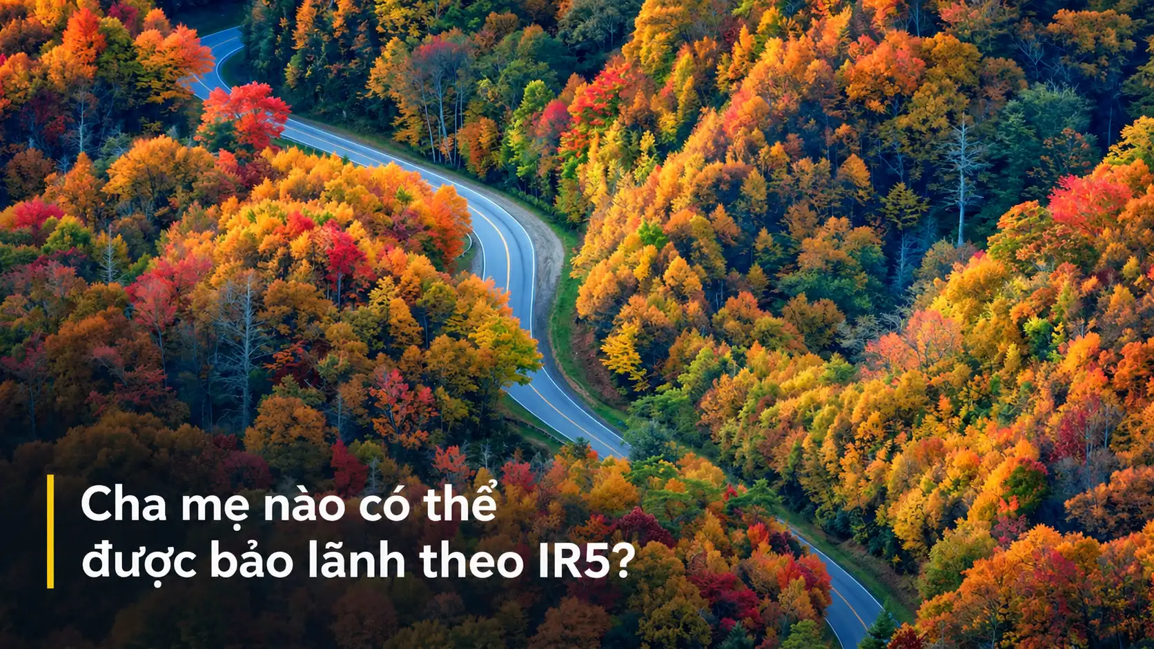 Cha mẹ nào có thể được bảo lãnh theo IR5?
