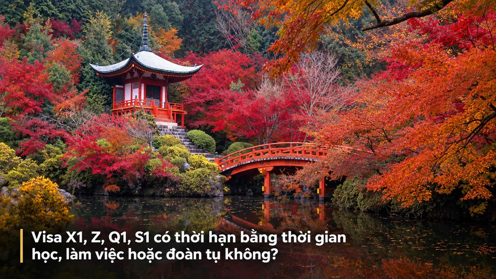 Visa X1, Z, Q1, S1 có thời hạn bằng thời gian học, làm việc hoặc đoàn tụ không?