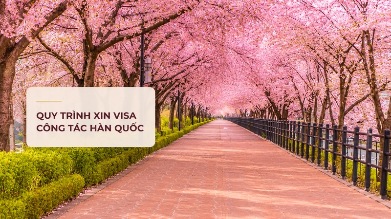 Quy trình C-3-4 nên bắt đầu từ việc xác định đúng diện trước khi phát hành thư mời.